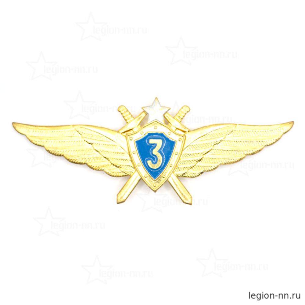 Значок Классность ВВС Мастер (Специалист 3 класса), изображение 1