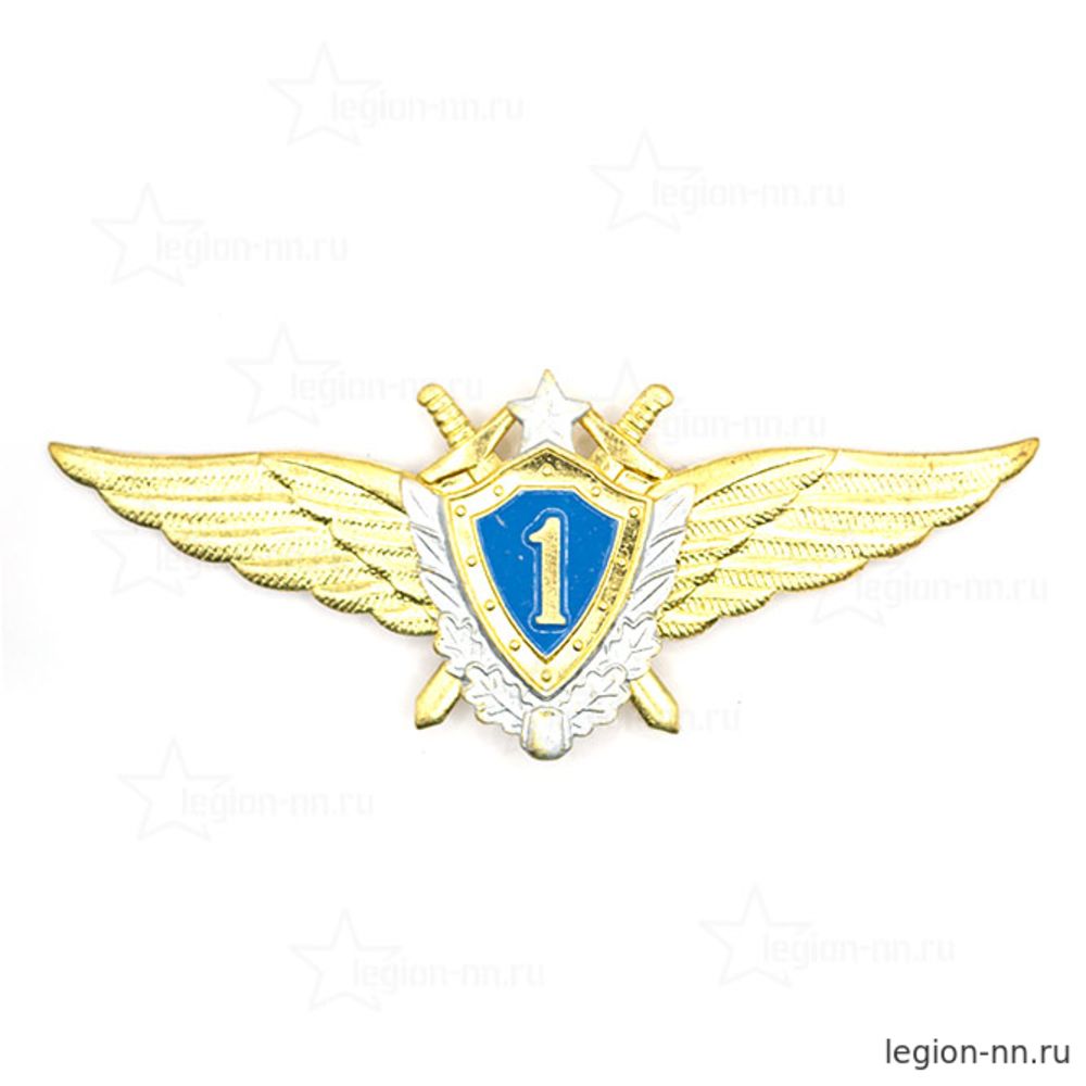 Значок Классность ВВС Мастер (Специалист 1 класса), изображение 1
