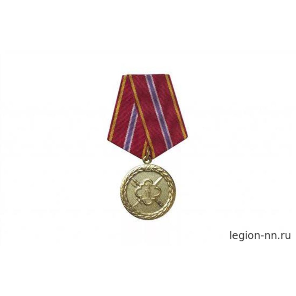 Медаль За отличие в службе XX (ФСИН 1 ст.), изображение 1