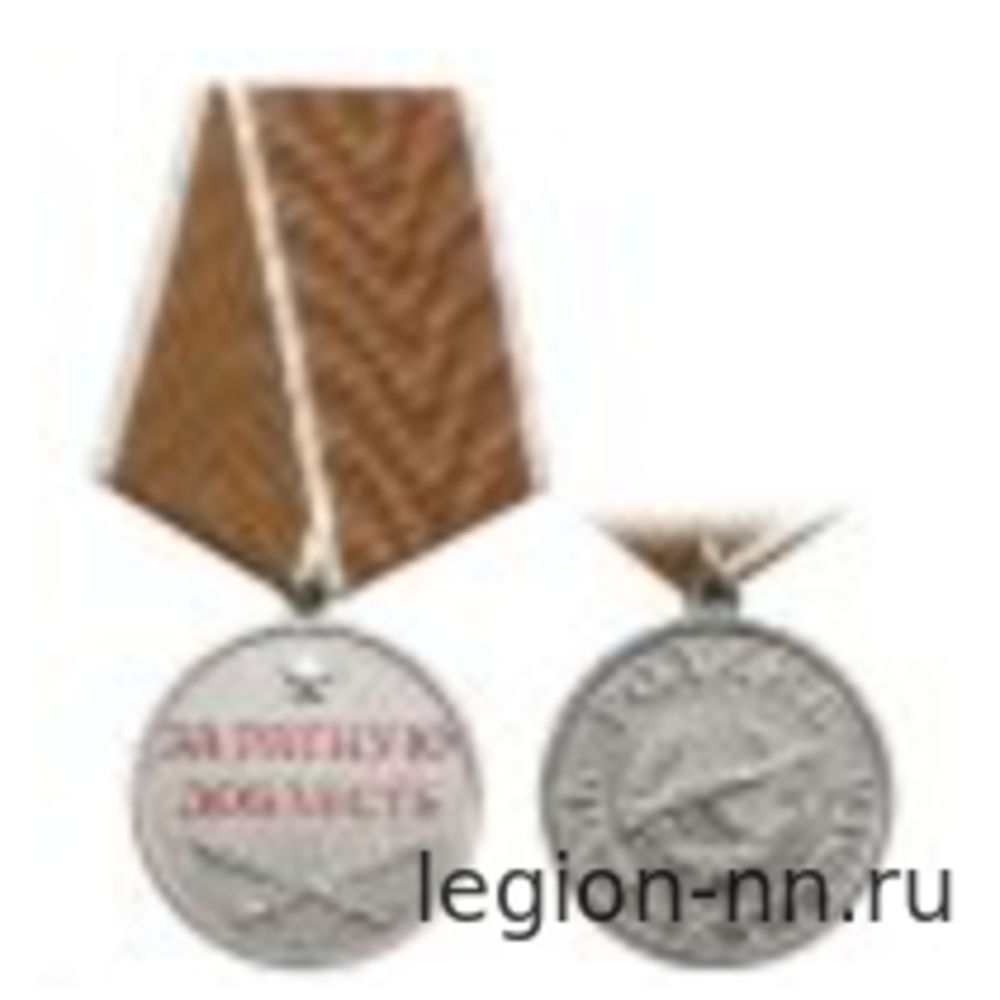 Медаль За ратную доблесть (Родине честь и отвага), изображение 1