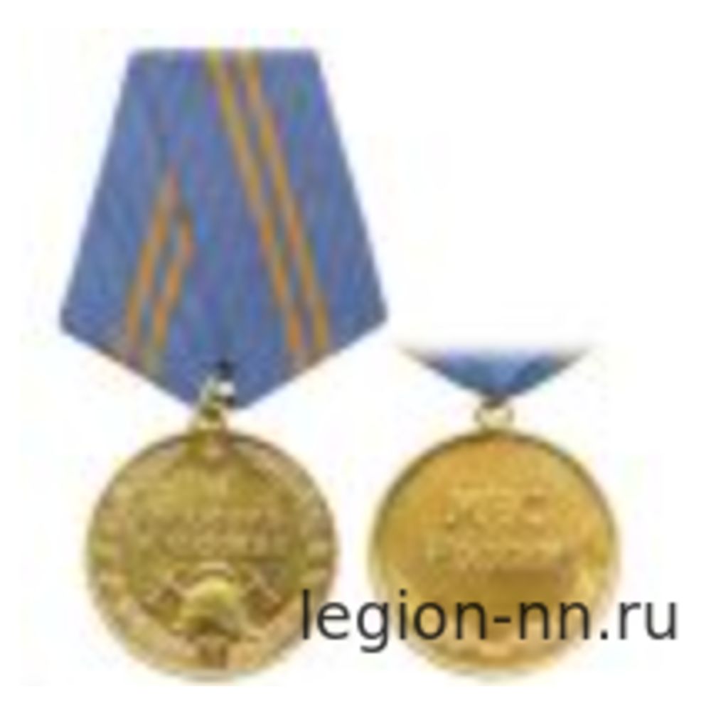 Медаль МЧС За отличие в службе 2 степ., изображение 1