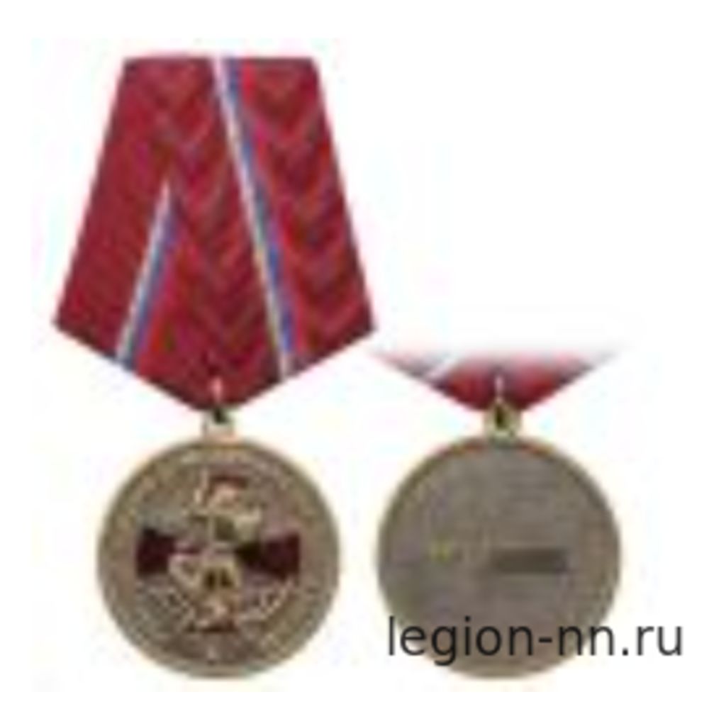 Медаль Участник боевых действий на Северном Кавказе, изображение 1