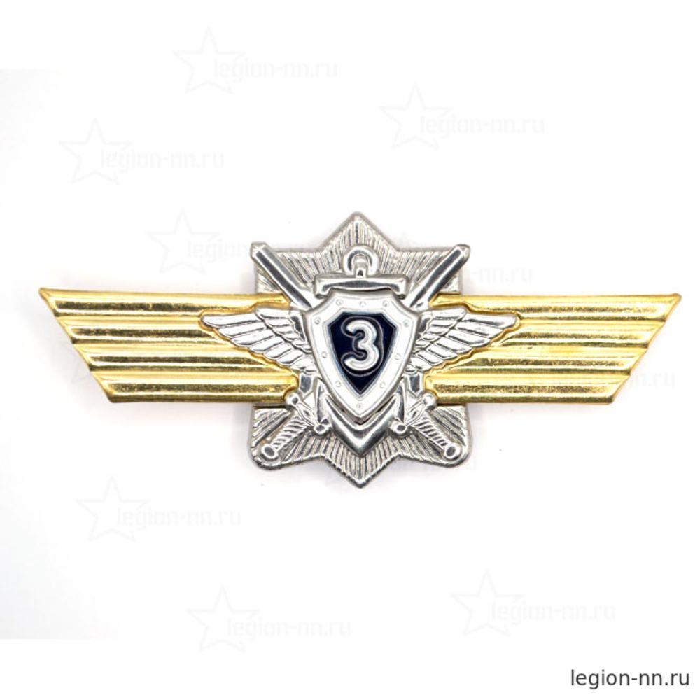 Знак Классность ВС РФ (Специалист 3 класса), изображение 1