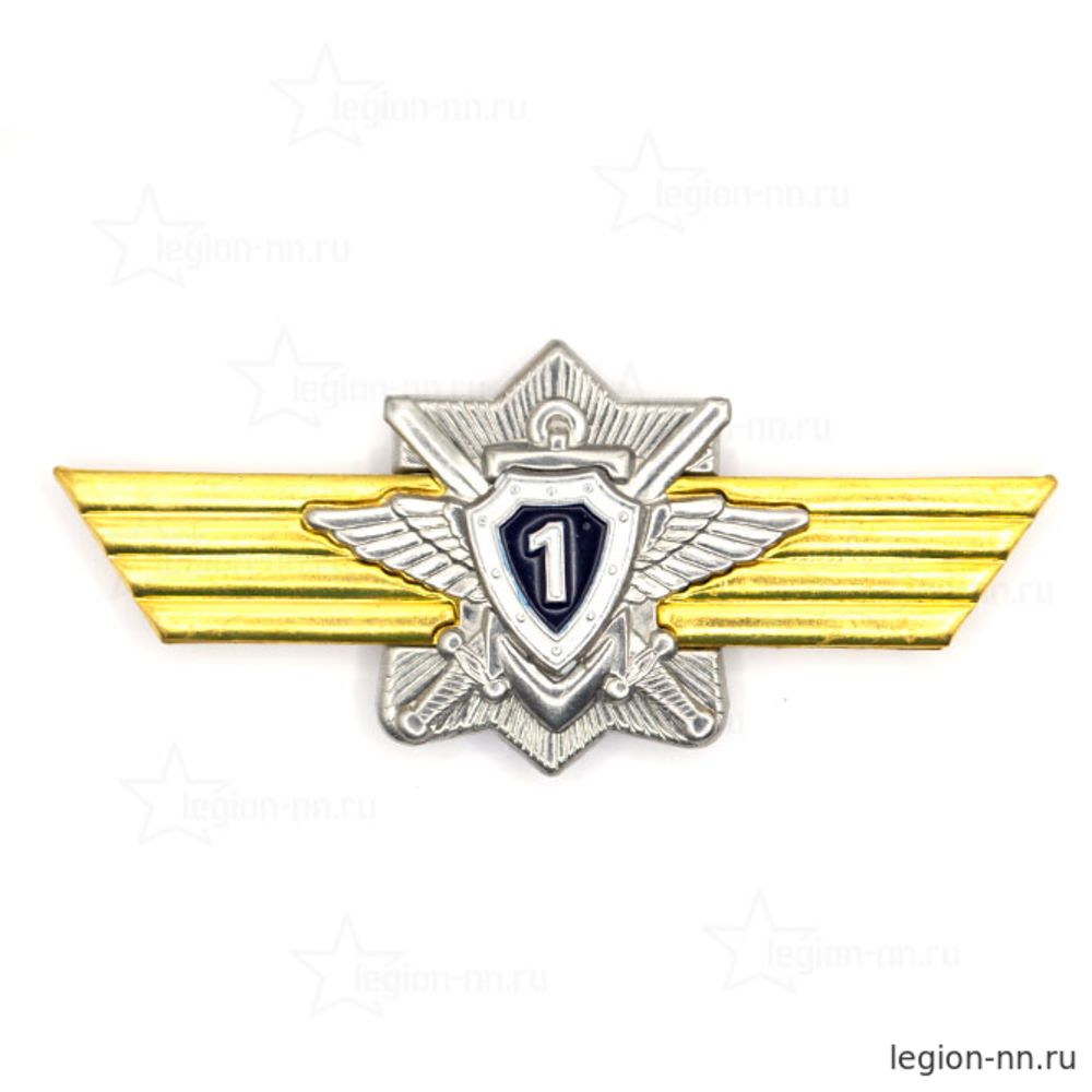 Знак Классность ВС РФ (Специалист 1 класса), изображение 1