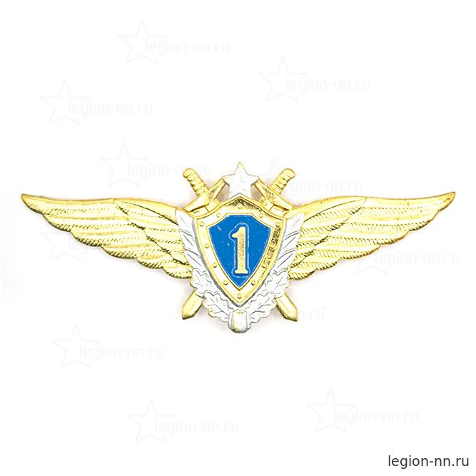 Значок Классность ВВС Мастер (Специалист 1 класса)